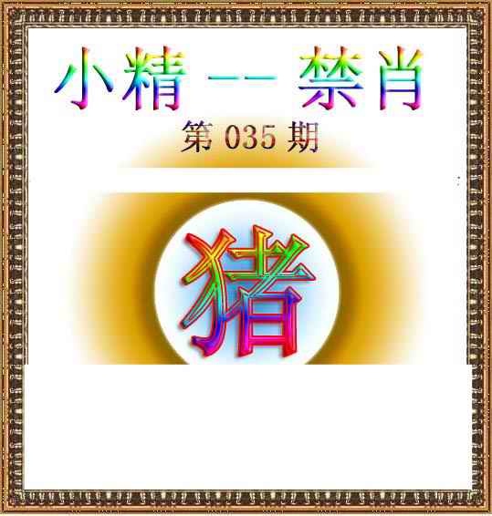 035期小精禁肖[图]